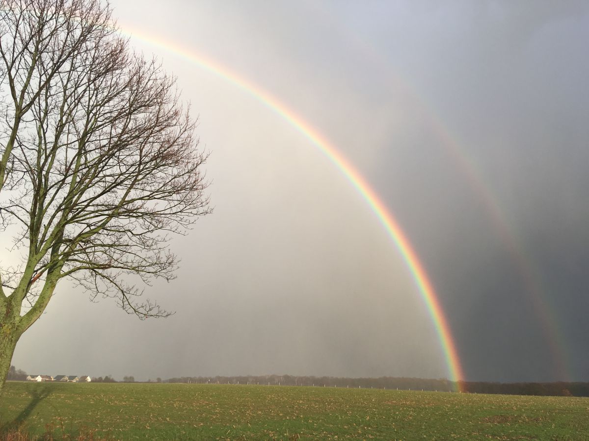 Regenbogen